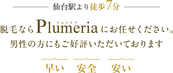 脱毛なら、Plumeriaにお任せください。